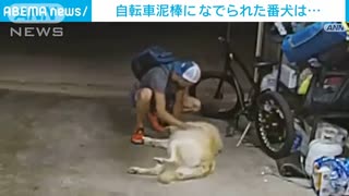 ホモと見る泥棒にめっちゃ懐いてしまう番犬