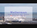 Wellerman / 小春六花カバー