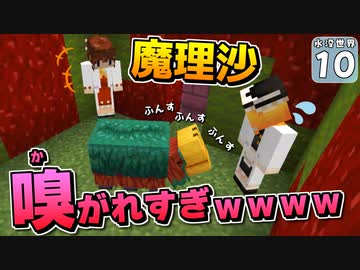 【Minecraft】水没世界でお料理生活！ Part.１０【ゆっくり実況】