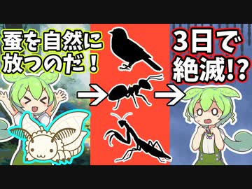 誰も知らない蝶の雑学【ずんだもん】