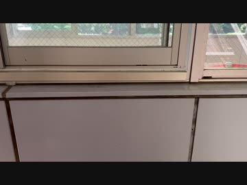 【5分間耐久シリーズ】宮ヶ瀬ダムインクライン
