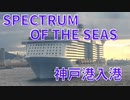 SPECTRUM OF THE SEAS　神戸港（第4突堤）入港　2023年8月10日