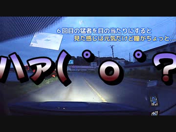 身内を亡くして高齢者もやっと世間の異変に気付いたかい？