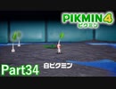 俊足・毒耐性・赤眼の6種類目＆ VSオオユキカブト in氷温サウナ【PIKMIN4実況part34】