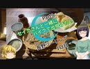 【京町セイカ車載】セイカさんと一緒にバイクで出掛けたい Part9 -長野ツーリング1日目-