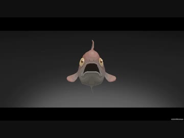 【Dave The Diver】おっさん part22【ゆっくり実況プレイ】