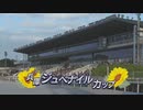 【ウマ娘風】第1回重賞Ⅱ兵庫ジュベナイルカップ(園田・2023)