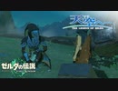 【ゼルダの伝説TotK】天空へ… #25