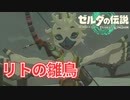 【ゼルダの伝説 Totk】このハイラルで一番自由な奴が勇者だ！！【実況】#16