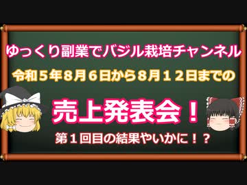 ゆっくり副業でバジル栽培