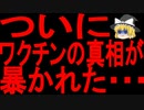 【緊急事態】アレに関する恐ろしいことが判明した・・・【ゆっくり解説】