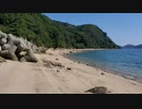 砂浜.mp4