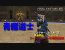 【FF14】Patch6.45マスクカーニバルNo.32解説