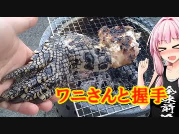 【茜ちゃん七輪飲み】ワニさんと握手