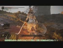 【刀剣乱舞】まんばがエルデの王を目指す52【偽実況】