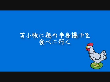 お盆なので支笏湖を走って苫小牧のバーベキューパーク・ブロイラーまで鶏の半身揚げを食べに行ってみた、カブで(長い)