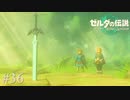 【ゼルダの伝説 Tears of the Kingdom】デクの樹サマ「マスターソードを何処へやったのだ？」【実況】#36