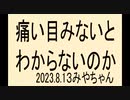 ﾜｸﾁﾝも痛い目みないと気が付かないよね