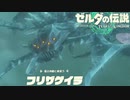 【ゼルダの伝説 Totk】このハイラルで一番自由な奴が勇者だ！！【実況】#18