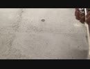 【13日目／１５０】アーバン，フレージングの芸術より：WHO SHALL BE FAIREST?.【トランペット】