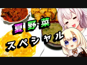 【夏野菜スペシャル】とりすぎた貴方へ【とり料理祭2023】
