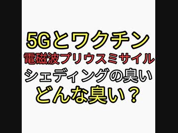 5G電磁波とワクチンが原因か？プリウスミサイルが危険！シェディングの臭いてどんな臭い教えて！