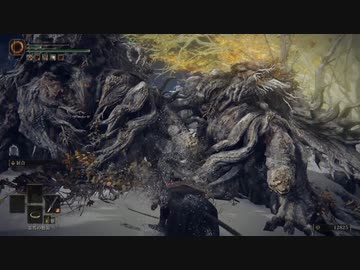 ELDEN RING_黄金樹の化身