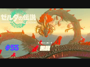 ゼルダの伝説 ティアキン #55 黒龍 魔王ガノンドロフ ラスボス2