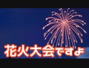 【あつまれどうぶつの森】なんか花火大会やってるらしいから行った【声実況】