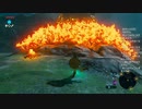 #17【ゼルダの伝説 ブレス オブ ザ ワイルド】トゲトゲの燃やし方！
