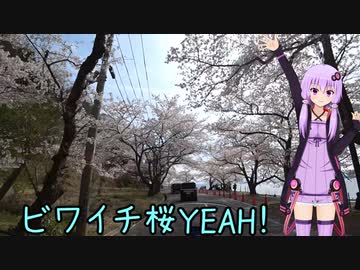 おバイク風景案内４６ ビワイチ桜YAEH！（動画制作裏話祭）【V-STROM1050XT】