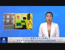 ワクチン接種を受けた妊婦から生まれた乳児の様々な心筋炎をWHOは隠蔽