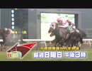 【ＰＲ】毎週日曜ごご３時から「TNC競馬BEAT」小倉競馬場からレース生中継★｜テレビ西日本