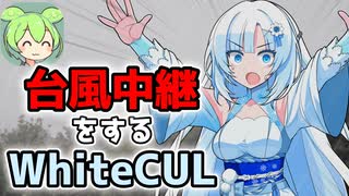 台風中継をするWhiteCUL【ずんだもんニュース】