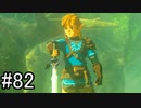 【実況】空の島から始まる新たな冒険【ゼルダの伝説 ティアーズ オブ ザ キングダム】part82