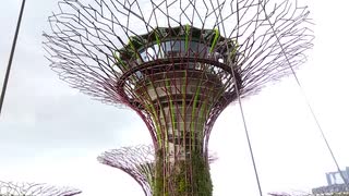 シンガポールの巨大未来型植物園・ガーデンズ・バイ・ザ・ベイ