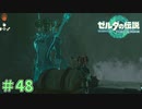 恥ずかしがり屋のペアルック　「ゼルダの伝説～ティアーズ・オブ・ザ・キングダム」　＃48