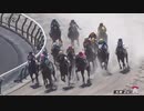 2023/08/12 札幌2R 3歳未勝利 オシゲ