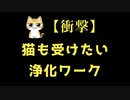 【衝撃】ネコちゃんも受けたくなる浄化ヒーリングの体感シェア