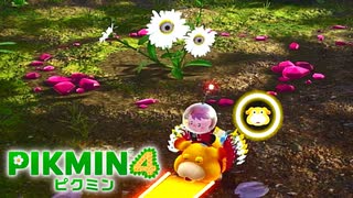 【ピクミン4】探索9日目の午前。びっくり菊亜種！？【ピクミン4/実況プレイ】