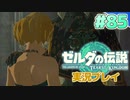 【実況】大空を翔る。ゼルダの伝説ティアーズオブザキングダム 実況プレイ！Part85【ゼルダの伝説TotK】