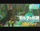 【実況】大空を翔る。ゼルダの伝説ティアーズオブザキングダム 実況プレイ！Part87【ゼルダの伝説TotK】