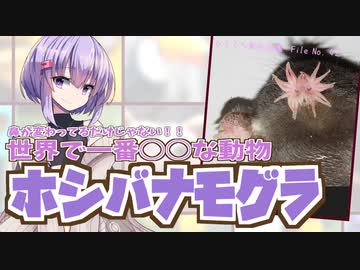 ひとくち動物図鑑　#42　ホシバナモグラ　[VOICEROID解説]