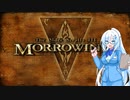 クールビューティーのMorrowind観光その2【TES3】