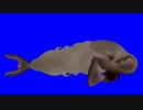 ケツマン超モロ感氏に潜んでいたクジラBB.ketsumanchomorokan