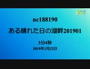 【生放送配信用BGM】ある晴れた日の湖畔201901(nc188190)