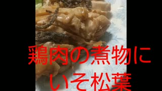 鶏肉煮物にいそ松葉あうよマジックショー見にいった鶏肉煮物違ったトリック見物