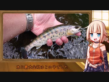 番外　OИEのテキトー外遊び「初夏の渓流　ベイトフィネス」