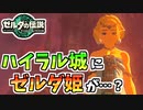 【ゼルダの伝説TOTK】プルアに会いに行ったらゼルダ姫が・・・【ティアキン】#90