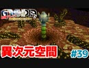 異次元空間のレーヌ廃村【GRANDIA】＃３９